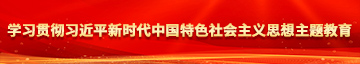 被大黑屌操视频学习贯彻习近平新时代中国特色社会主义思想主题教育